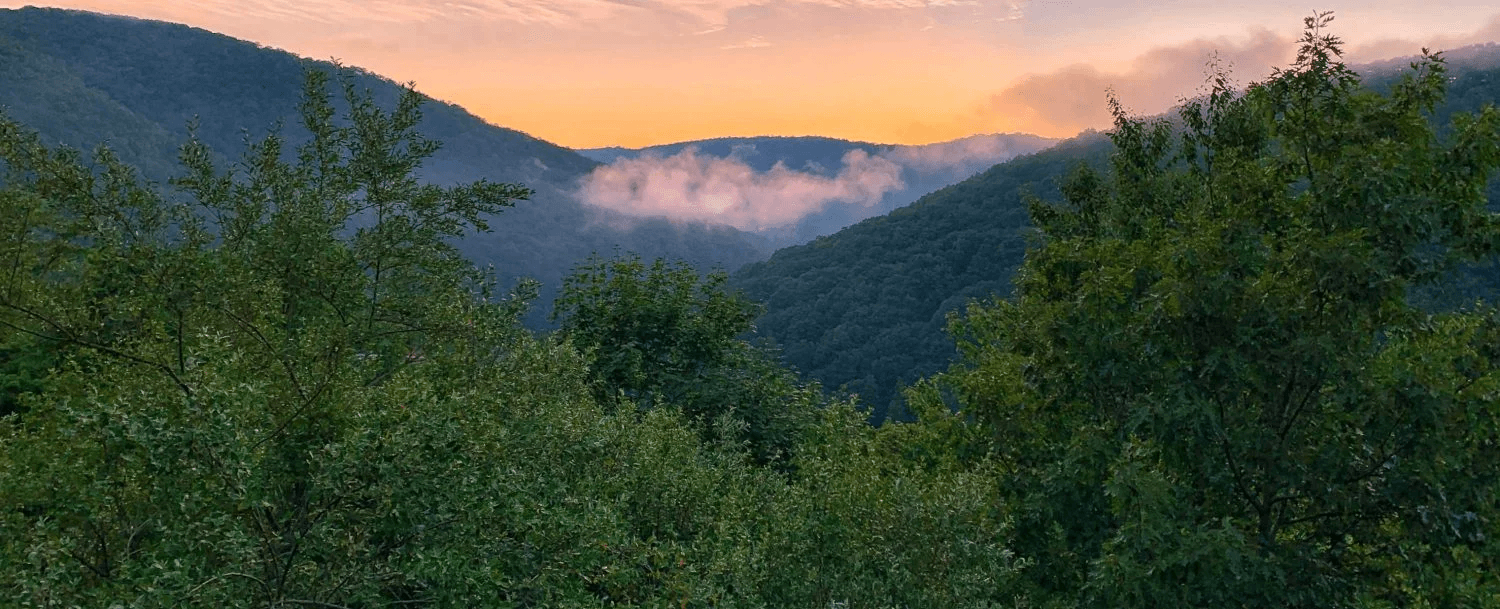 A peaceful sunset over misty mountains lined with lush greenery.