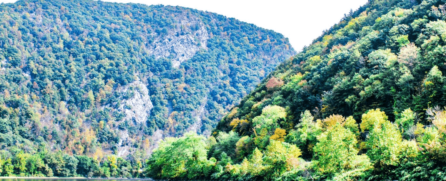 A scenic view of lush, rolling hills adorned with colorful autumn foliage and a tranquil body of water.