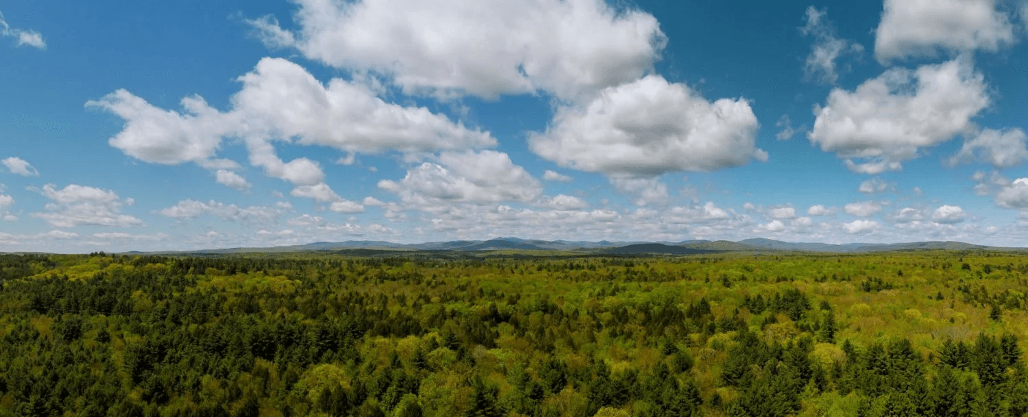 A panoramic view of lush green forests under a blue sky with scattered clouds.